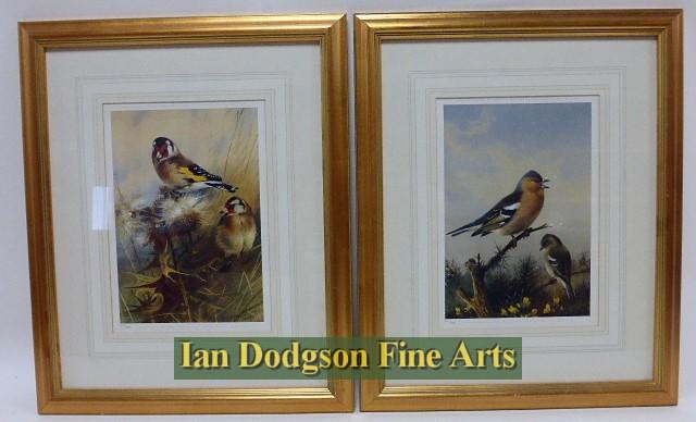 Archibald Thorburn - Goldfinch & Chaffinch Limited edition print (1995)