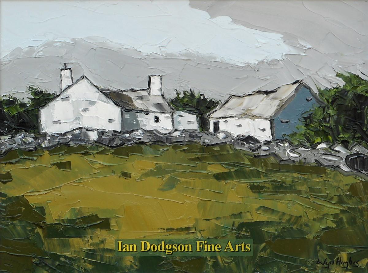 Ffestiniog Cottage by Wyn Hughes