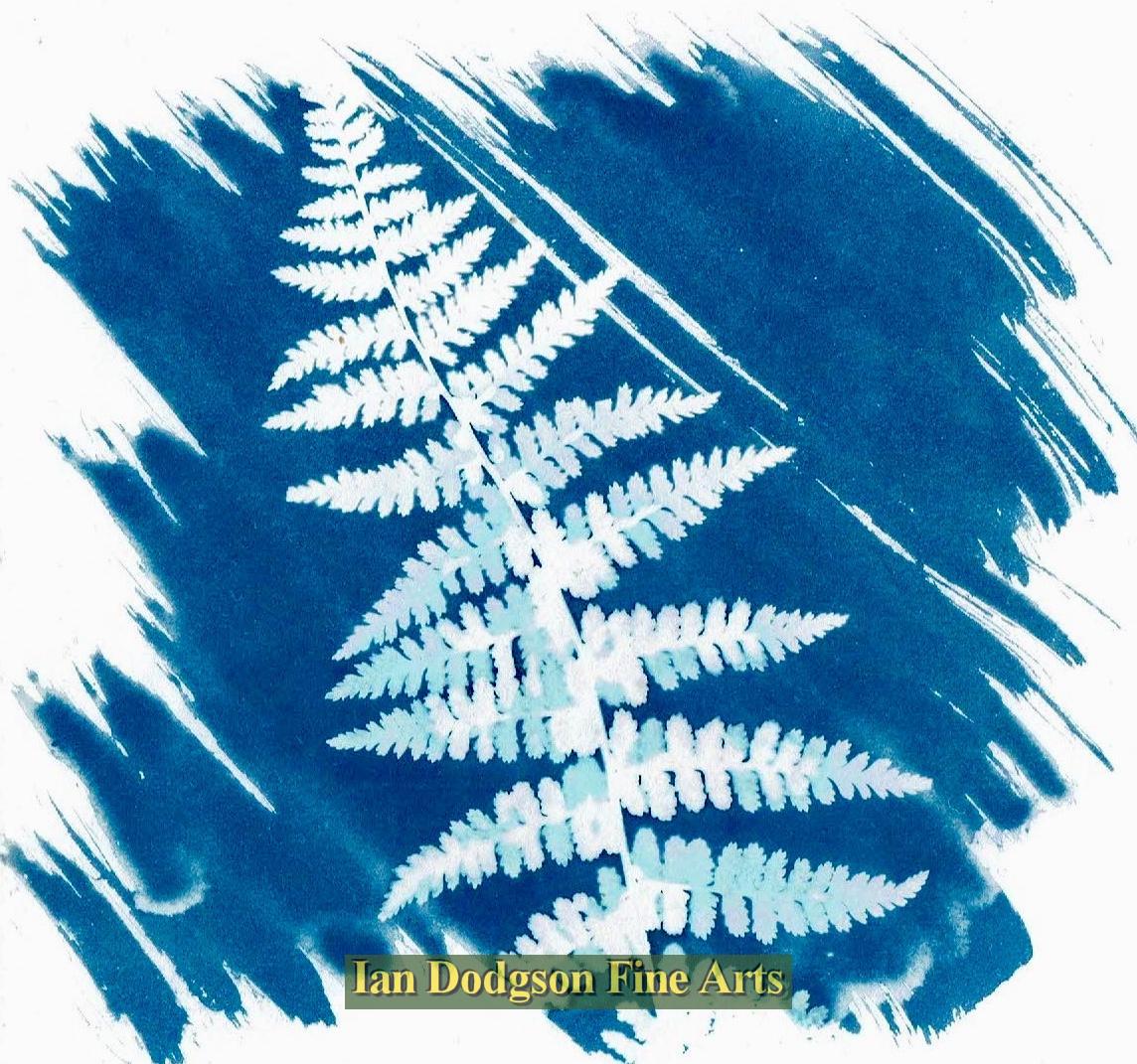 Fern 4 by Gill Hughes