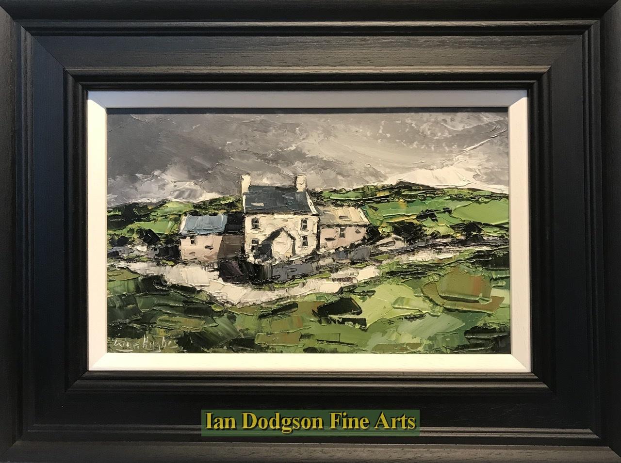 Fferm Carneddau by Wyn Hughes