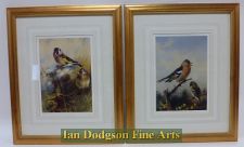 Goldfinch & Chaffinch by Archibald Thorburn